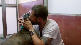 Tom Hardy playing with dogs is goddamned adorable